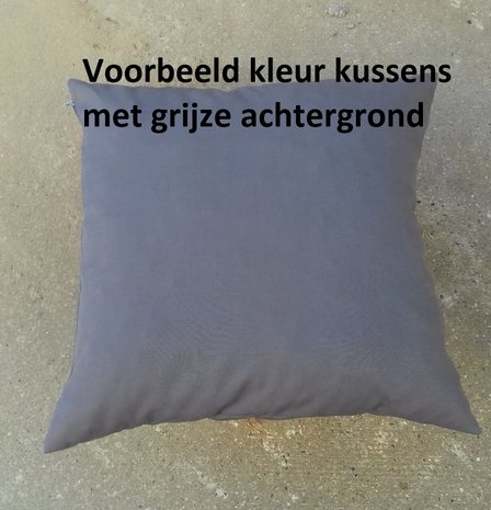 Voorbeeld kleur kussens met grijze achtergrond