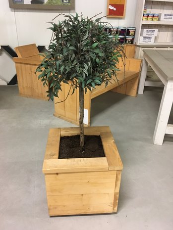 steigerhout plantenbak met plant en grond er in
