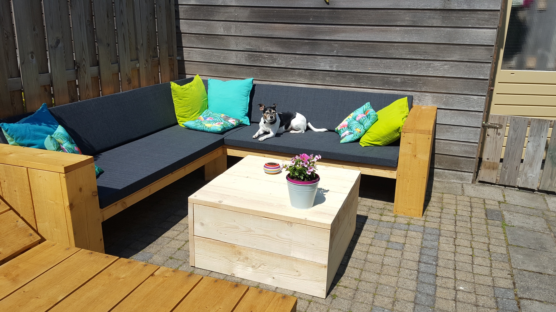 Tuinbank lounge hout met kussens en hond op de bank