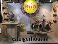 Steigerhout beursstand