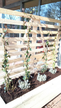 Plantenbak met klimrek