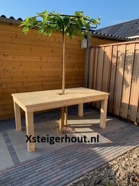 Tafel om boom 2