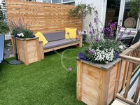 Eerste foto's van Douglas hout bouwpakketten 